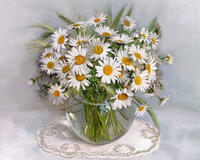 Без бренда «2KMA-0021» в Нижнем Новгороде