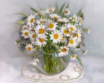 Без бренда «2KMA-0021» в Нижнем Новгороде