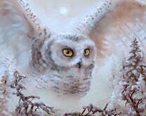 Без бренда «2KMB-3848» в Нижнем Новгороде