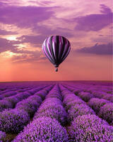 Без бренда «Фиолетовый воздушный шар над фиолетовым лавандовым полем» в Нижнем Новгороде