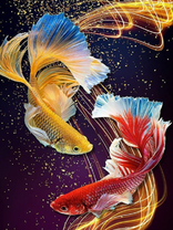 Без бренда «Желтая и красная рыбки» в Нижнем Новгороде