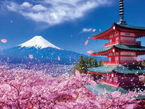 Без бренда «2KSB-7277» в Нижнем Новгороде