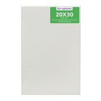 Без бренда «Коробка 80 шт.: Холст Две картинки на подрамнике 20X30» в Нижнем Новгороде