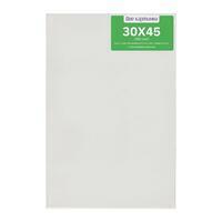 Без бренда «Коробка 40 шт.: Холст Две картинки на подрамнике 30X45» в Нижнем Новгороде