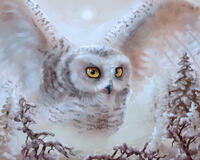 Без бренда «Полярная сова над лесом (20шт)» в Нижнем Новгороде