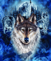 Без бренда «BOX40-2KXSB-0687» в Нижнем Новгороде