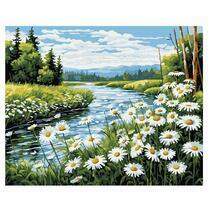 Ромашки на берегу реки