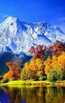 Яркий осенний лес и снежные вершины гор