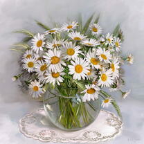 Без бренда «Букет свежих ромашек» в Нижнем Новгороде