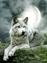 Без бренда «Коробка 25 шт. картин по номерам BOX25-GX21058» в Нижнем Новгороде