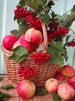 Без бренда «Коробка 25 шт. картин по номерам BOX25-GX5174» в Нижнем Новгороде