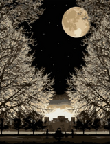 Полнолуние над большим городом