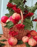 Без бренда «Плетёная корзина с калиной и яблоками» в Нижнем Новгороде