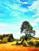 Без бренда «Осенний пейзаж с голубым небом» в Нижнем Новгороде