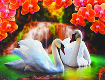 Белые лебеди и орхидеи