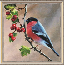 Снегирь на веточке