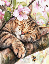 Без бренда «Волосатый котик спит на ветви яблони» в Нижнем Новгороде