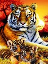 Тигрица с тигрятами на фоне солнышка