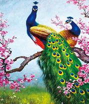 Большие роскошные павлины на цветущей ветке